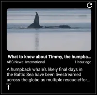 RSS Reader RSS Reader