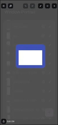Window in Edit mode